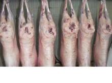 Lamb   Carcass es