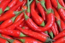Red hot Chili