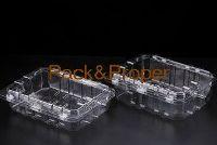 DCA-100E-CH Fruit& Vegetables   Packing  container