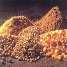 Cotton Seed,Mustard Grains,Maize,Barley,Rice, Wheat
