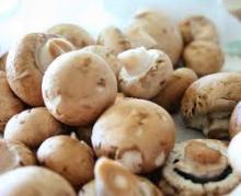  Preserved   Whole   Mushroom 