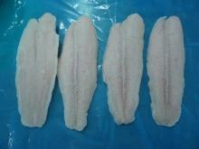  Swai   Fillet 