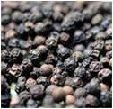 Black Pepper