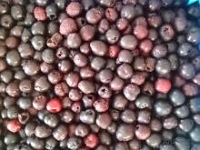  Frozen  Dark  Sweet   Cherry 