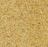 yellow millet