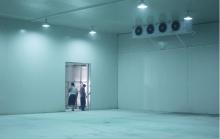 cold room and freezer project