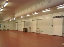 large cold room project / walk-in freezer