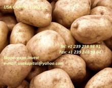 Potatoes,  Fresh  White Potatoes,  Fresh   carrots   washed 