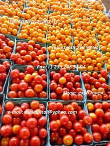  Tomato es  red  fresh, Yellow cherry  tomato es