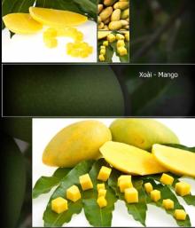 IQF Mango ,  tropical   Fruit  :  Pineapple  , Mango, Banana,Acerola....