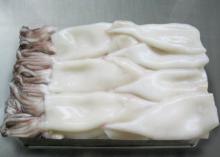  Frozen   Squid   T + T 