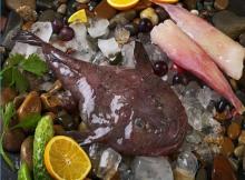 Frozen Monkfish