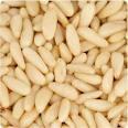 PINE NUTS