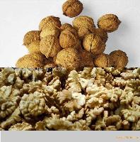 WALNUT