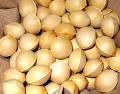GINKGO NUTS