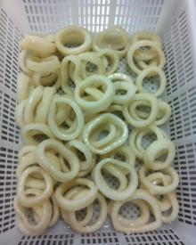 IQF Squid Rings