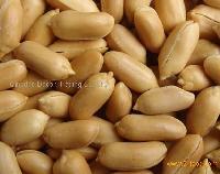  Fried  Peanut