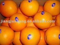 General  Red  Newhall  Navel   Orange 