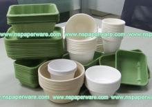 Bagasse Fruit Paper  Trays   Biodegradable  Tableware