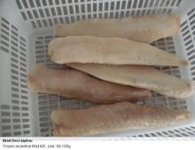 IQF monkfish fillet