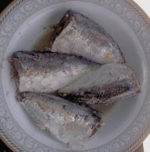 Mackerel in  Brine 