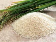  1121   sella   basmati   rice 
