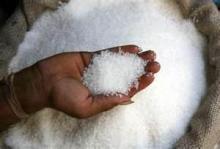 White Crystal Sugar Broker