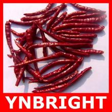 Yunnan Dried Chili with Competitive Price
