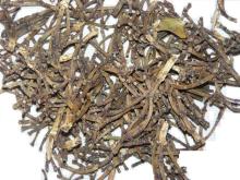  Clove   Stem 