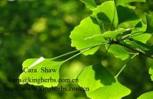Supply China  Ginkgolic  acid