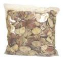 AFRICAN BUSH  MANGO   SEED S