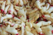  Fresh   Ginger   paste 