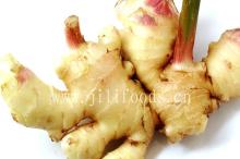 Bulk Fresh Ginger
