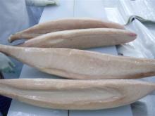 FROZEN ALBACORE LOIN SKINLESS