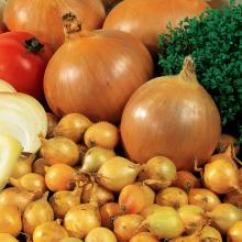 white and red onions