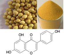 Soybean extract -- 10~80% Isoflavones -- 574-12-9