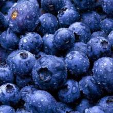 high-quality frozen blueberry