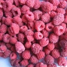  high - quality   frozen   raspberry 