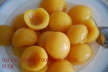  canned  plum