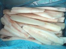 Frozen Alaska Pollock Fillet