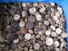 Frozen Mushrooms
