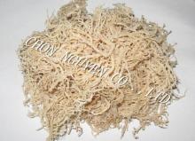 White Cottonii seaweed