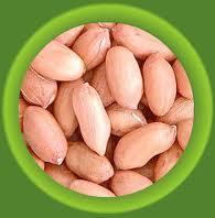 Groundnut Kernal /  Peanut s