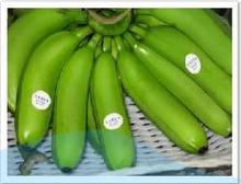 Fresh Dark Green Cavendish  Banana  At Lowest  Price s