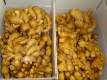 Fresh Ginger