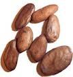 Cocoa beans