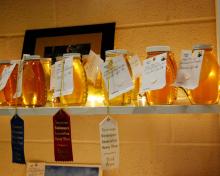 HONEY FOR SALE