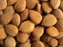 Bitter Apricot Kernels
