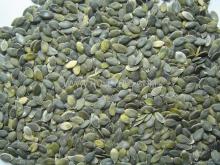 Pumpkin Seeds and Kernels