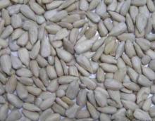 Sunflower Seed Kernels